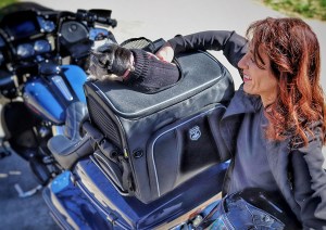 Photo of woman standing next to Rover on Black motorcycle with dog popping out
